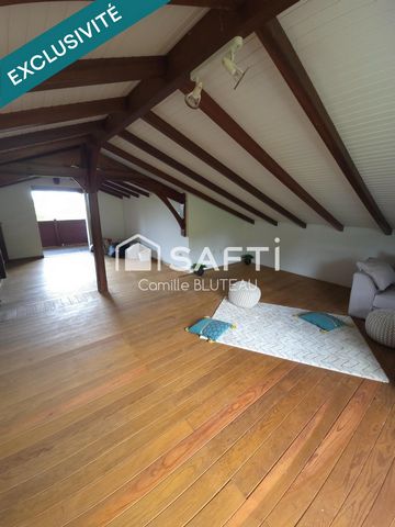photo no. 11