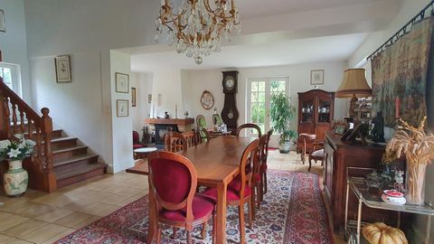 photo no. 6
