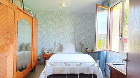 photo no. 11