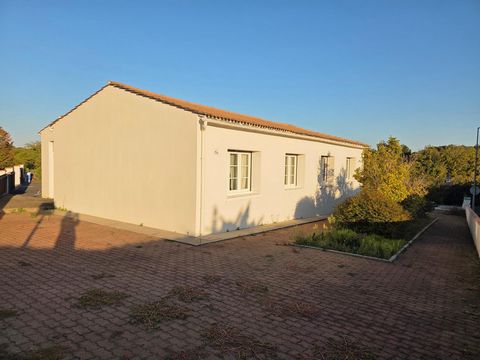 photo no. 10