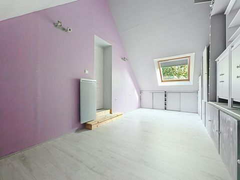 photo no. 7