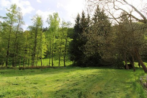 photo no. 2