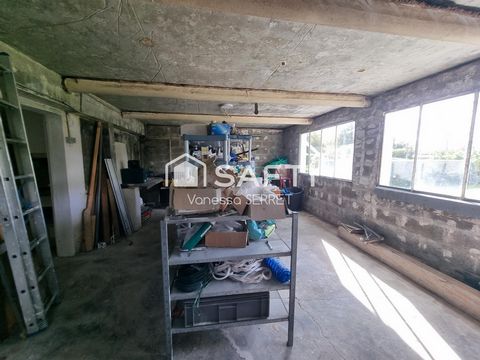 photo no. 17