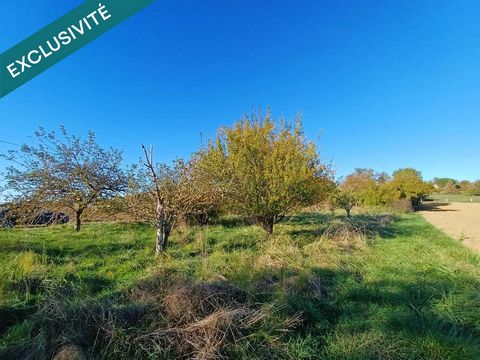 Terrain agricole avec arbres fruitiers et puits