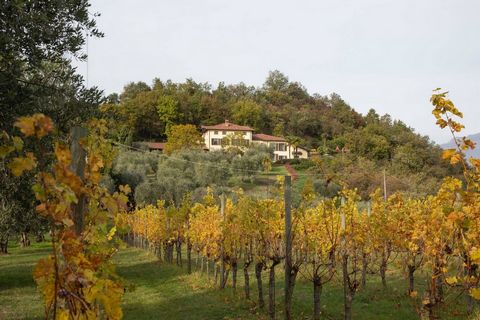 Gardasjön, Salò. Tenuta Navelli står på en kulle som ger det nöjet av en fantastisk utsikt över Gardasjön. Den stora villan ligger mitt i 13 hektar mark som berättar magin på dessa platser. En vingård och en olivlund kännetecknar mycket av fastighete...