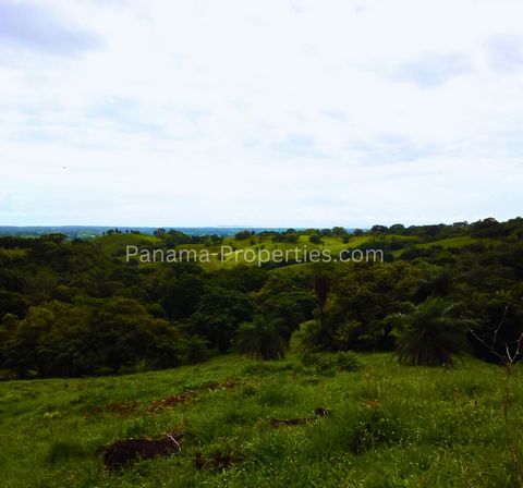 6.1 Hectare Finca / Land Investment Pedasi Panama / Lajamina $60.000 USD / $0.98 / m2 Contact KEN NORTON whatsapp ... This is very affordable land and not easy to find at this price in this area of Panama anymore!! If you have a dream of being in a r...