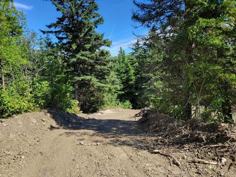 Superb land with a prime location between the sea and the mountains! The land is bordered by the Petite Rivière Sainte-Anne and with an area of more than 90,000 ft2. The owner has a soil test, a well plan, a site certificate and a building permit fro...