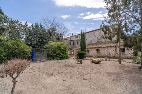 In the historic center, and precisely in Via Montana, we offer for sale a 192 m2 warehouse, with a 96 m2 roof and a 600 m2 private GARDEN. The property is located near the entrance to the historic center of Tarquinia, a stone's throw from the Church ...