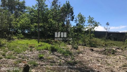 Construction land with about 1400 m2 for sale in the parish of Venade, municipality of Caminha. The land at the level of the Municipal Master Plan is located - is in a classified area of urban space of low density type I and has a front of land with ...