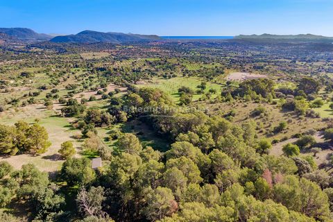 Large plot with beautiful surroundings in a rural area of Moscari, Selva This picturesque plot of around 37.000m2 provides a peaceful retreat surrounded by nature and is offered for sale amongst the rolling hills of the Moscari countryside. The plot ...