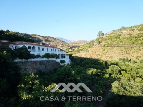 It is an Andalusian dream: a mansion with 495m2 of living space, on 20,000m2 of land, with more than 1,000 mango and avocado trees - and all this embedded in the characteristic landscape of the Axarquía. 20,000m2 of practically flat land, with the po...