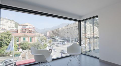 Dpt Alpes Maritimes (06), à vendre MENTON appartement T2 52m2 vue montagne