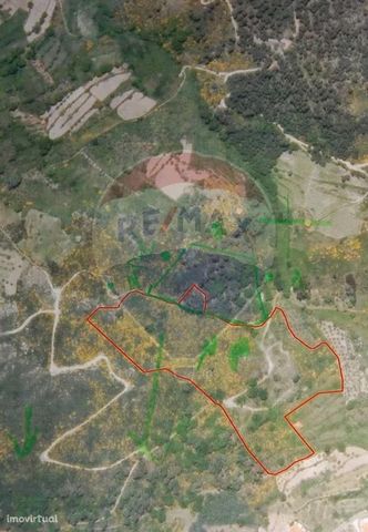 Land for sale for 55.000 € in Cabritos / Melo / Gouveia, District of Guarda in the middle of Serra da Estrela with the Area of 44.670m2 with the following crops: Potato, Rye, Olive Trees, Chestnut Trees, Pine Forest and Pasture. With lots of water. B...