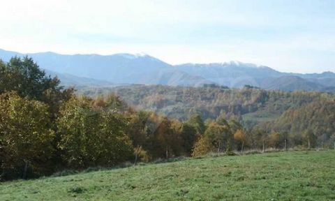 SUPRIMMO Agency: ... Plot of land with a total area of 11480 sq.m. at the foot of the Balkan Mountains. The property is located near the town of Apriltsi. The place is next to regulation, and an asphalt road leads to it. Suitable for building a hotel...