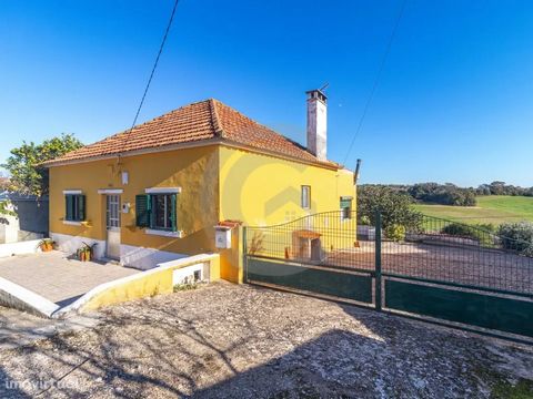 3 bedroom villa with winery, shed, well and land. Good location, sunny. About 1 hour from Lisbon, and 20 minutes from Santarém. For own home or second home. Energy Rating: E Energy Rating: E