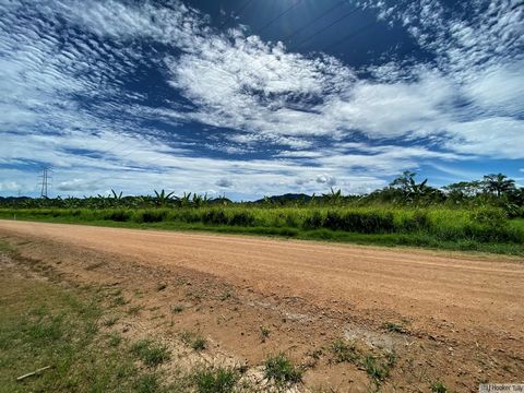 This approx. 6.88 hectare block of land is ideally located, roughly 15 minutes drive to Tully and 20 minutes from the beautiful Mission Beach area. This property offers the opportunity to create your ideal sanctuary, with plenty of room to move. Cons...