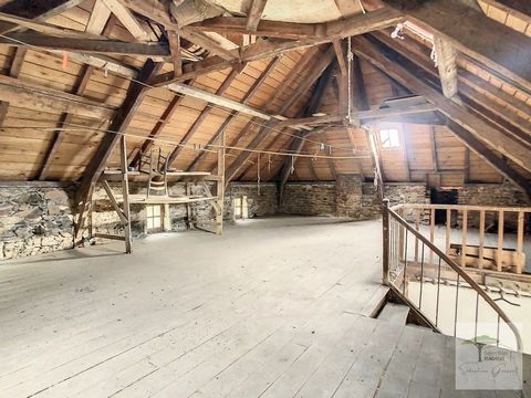 photo no. 4
