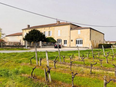 A 30 minutes de Bordeaux, ,venez découvrir cette magnifique propriété de prés de 30 hectares dont une vingtaine en nature de vignes. Deux appellations sont produites sur cette exploitation. Vignoble de bonne renommée très bien entretenu avec une très...