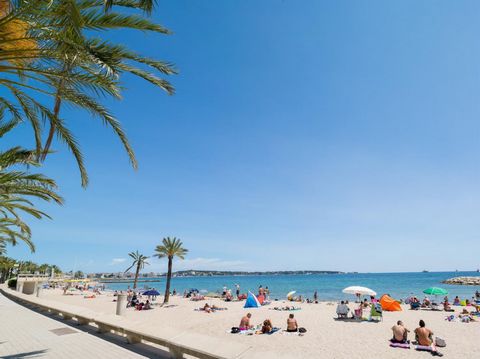 Located between Cap d'Antibes and La pointe de la Croisette, Juan-Les-Pins is the second city of the French Riviera and offers one of the most beautiful coastal landscapes in France. With its lively port, restaurants and markets, this resort is full ...