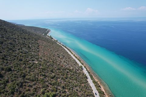 Property Code. 11450 - Agricultural FOR SALE in Thasos Skala Kallirachis for €325.000 . Discover the features of this 6500 sq. m. Agricultural: Distance from sea 30 meters, The office of Thassos Realestate is located on Thassos Island and specializes...