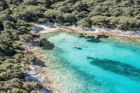 Остров Хвар является королевой хорватских далматинских островов. Также известен как самый солнечный остров во всей Хорватии! Очень известен своим богатым культурным наследием, природными памятниками и кухней. Благодаря мягкому средиземноморскому клим...