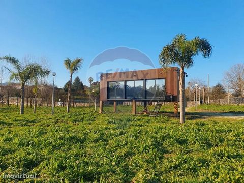 Property with two river fronts (Ave river to the south and Agrela river to the east) with planting of about 50 chestnut trees and surrounded by centennial vineyards. It is already equipped with an agricultural support facility with kitchen and bathro...
