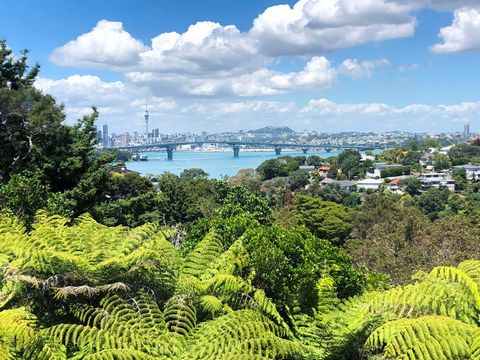 Nestled in a serene bush setting, this 1960s three bedroom house offers breathtaking panoramic views of the cityscape, inner harbour and iconic views of the harbour bridge. With private bush access and native trees onsite, this property really is a t...