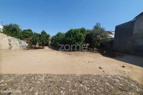 Property ID: ZMPT556734 Urban Land for construction - Golegã Land for construction in Golegã with 604m2, and with a deployment area of 240m2 The whole land is clean, walled and with gate, it also has fruit trees. Very close to the Manuel Bento Galrin...