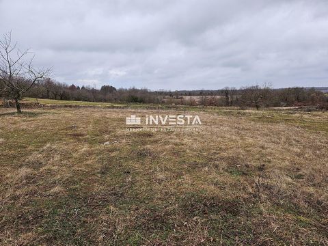 A spacious construction-agricultural plot of 15,258 m2 is for sale in an excellent location in Žminj, of which 6,186 m2 is for construction. The land has a regular shape and is accessed from an asphalted road. Electricity and water are available on t...