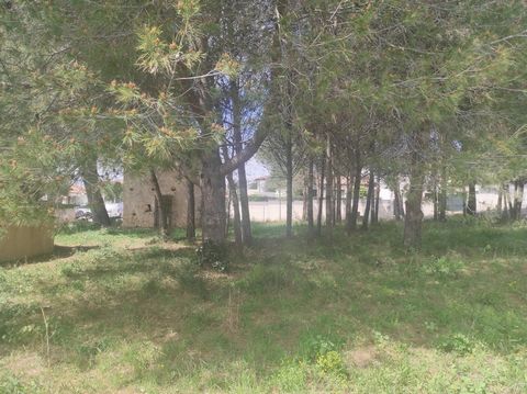 Exclusively!!! This superb plot of 545 m2, located in the popular area of Bouzigues, awaits your construction project. We call it the Great Pine because on its ground stands majestic tree. It houses a pretty Provencal farmhouse that you can also furn...