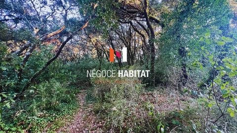 L'Agence Négoce Habitat vous propose en EXCLUSIVITE, sur la commune de BOISSERON, ce beau terrain à bâtir de 1300m2 (dont chemin d'accès), non viabilisé (réseaux en bordure, dont tout à l'égout), Idéalement situé dans le quartier résidentiel et calme...