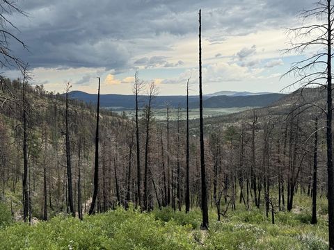 Escape to Your Own Wilderness Retreat - 198.5+/ - acres in Mora, NM. Discover the untamed beauty of this property, nestled in the rugged terrain of northern New Mexico. Once a thriving, heavily wooded landscape, this land now tells a story of resilie...