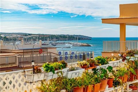 Penthouse avec grande terrasse au rez-de-chaussée et vue sur la mer. Ce penthouse a une superficie d’environ 120m2 et se compose d’un salon avec accès à la terrasse, cuisine équipée, buanderie, 4 chambres doubles (dont 2 avec accès direct à la terras...