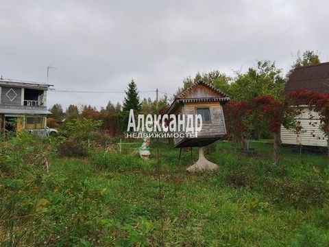 Located in Пупышево.