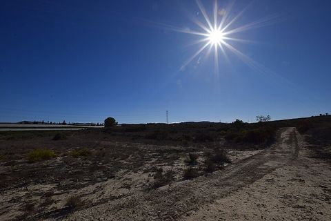 Grandi appezzamenti rurali da costruire vicino a Torremendo . Terreni edificabili di 12.000 m2 vicino a Torremendo e al bacino idrico di La Pedrera. Si tratta di terreni pianeggianti con una superficie edificabile massima del 5%, con buon accesso str...