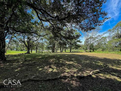 Gelegen op slechts 9 minuten van het centrum van Boquete, biedt dit perceel aan de Via Palmira in Boquete, Chiriqui, een praktische en gunstige locatie om uw huis te bouwen. Deze accommodatie ligt in een kleine, rustige buurt en biedt een rustige omg...