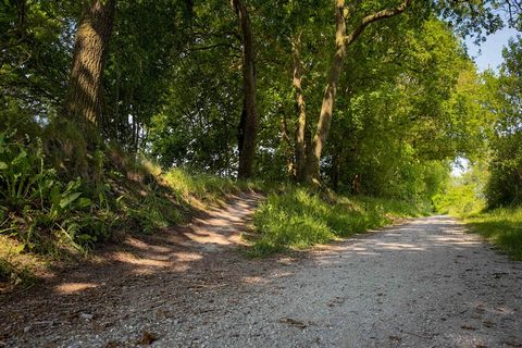 Waar Friesland vooral bekend staat om zijn open landschap en water, vindt u in dit gebied een combinatie van een coulissenlandschap (halfopen landschap met houtwallen, elzensingels en heggen) en water. In de directe omgeving vindt u diverse meren en ...