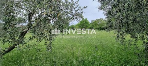 Location: Istarska županija, Kaštelir-Labinci, Kaštelir. For sale: a 752 m² plot of building land in an excellent location in Kaštelir, about ten kilometers from Poreč. All infrastructure (electricity, water, sewage) is nearby. There are already buil...