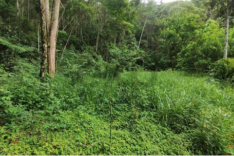 Terrain situé au cœur de Brejal, l’un des quartiers les plus agréables de Petrópolis, principal producteur de produits biologiques de l’État de Rio de Janeiro. Il y a 20 084m² avec une bonne topographie, situé près de la route Arnaldo Dyckerhoff, l’u...