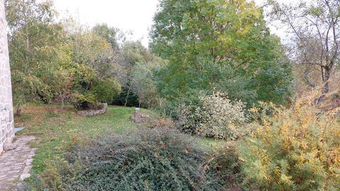 photo no. 28
