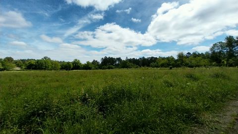 En zone 1AU, ce terrain constructible permet d'accueillir un lotissement d'une dizaine de lots sur environ 16000m2 de surface à bâtir. Les réseaux sont en façade et l'assainissement doit être prévu individuellement. Grâce à un règlement souple, il es...