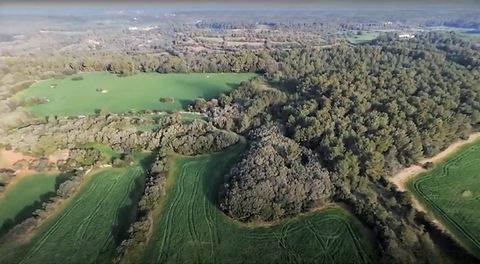 . Nous vous présentons une maison de campagne située dans les environs pittoresques d'Alaior, un lieu qui vous transporte dans un paysage charmant et serein. S'étendant sur une généreuse superficie de 796 839 m², cette propriété a un potentiel captiv...