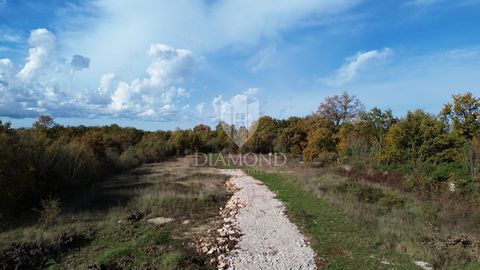 Location: Istarska županija, Svetvinčenat, Svetvinčenat. A building plot of 701 m² is for sale, located in a quiet area near Svetvinčent. The land has a flat surface and a regular shape, which enables easy planning and construction. All the necessary...