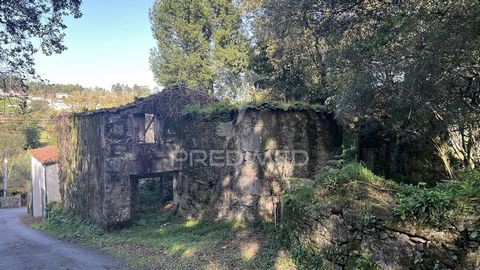 Maison rustique à récupérer avec terrain de 600 m2, à Turiz, Vila Verde. Maison d’environ 200 m2 de surface au sol et 350 de surface de construction. Cette propriété en ruine permet la reconstitution d’une charmante maison de campagne, en profitant d...