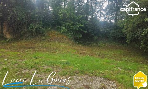 Lucie LE GOUAS Capifrance vous présente en exclusivité ce beau terrain plat non viabilisé de 595m² situé à Longuyon. Entouré de verdure, il mesure 24m de largeur sur 30m de profondeur. Etude de sol à venir. Les honoraires d'agence sont à la charge de...