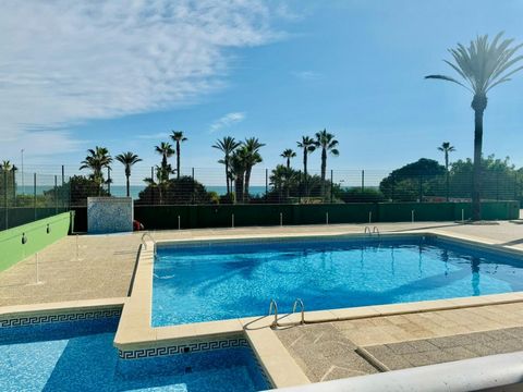 Presentamos este espectacular apartamento a 200 metros de la playa de la Mata un lugar único para disfrutar de la costa mediterránea Por solo 89990 conviértete en dueño de este encantador hogar de 1 dormitorio y 1 baño con 38 m² de superficie constru...