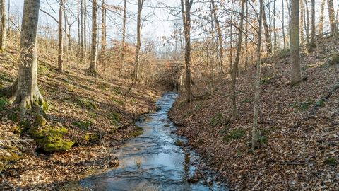 Dieser schöne alte Familienbauernhof in der Nähe von 840 ist 6,7 Meilen vom Dorf Leipers Fork entfernt. Die nördliche Parzelle hat einen quellgespeisten Bach, der das ganze Jahr über fließt. Diese Immobilie bietet viele Möglichkeiten als Gehöft, Erho...