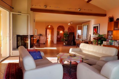 photo no. 2