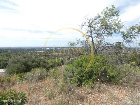 Fantástico terreno no Pé do Cerro em Santa Bárbara de Nexe.. Acessível através de estrada alcatroada, seguida por 30 metros de caminho pavimentado com uma inclinação moderada, este terreno oferece a combinação perfeita de conveniência e privacidade. ...