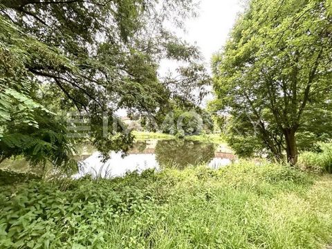 Sie suchen nach einer Traumwohnung am Wasser in grüner Lage? Willkommen in Ihrem neuen Zuhause einer einzigartigen, großzügigen Wohnung mit fünf Zimmern, die keine Wünsche offen lässt. Hier, inmitten einer grünen, ruhigen Gegend, erleben Sie jeden Ta...